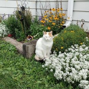 Meet your Posher, Jen